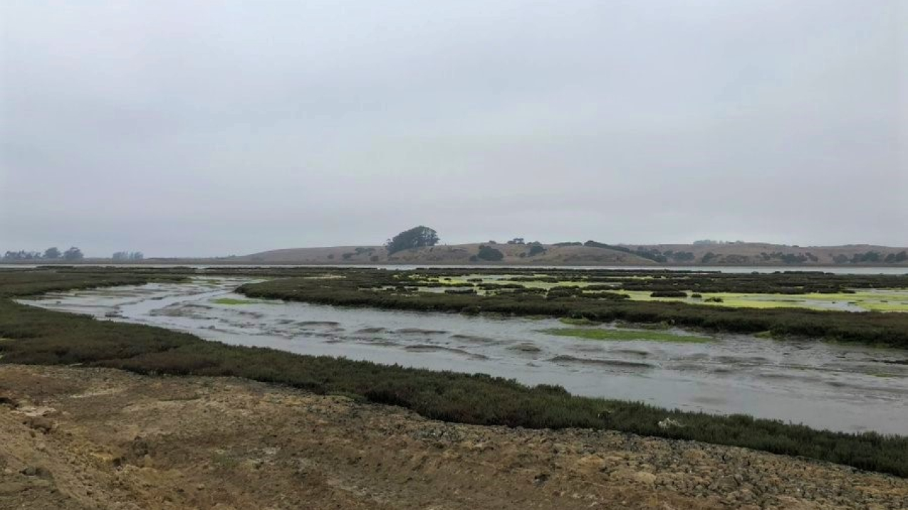 A shallow creek winds through a flat, open area.
