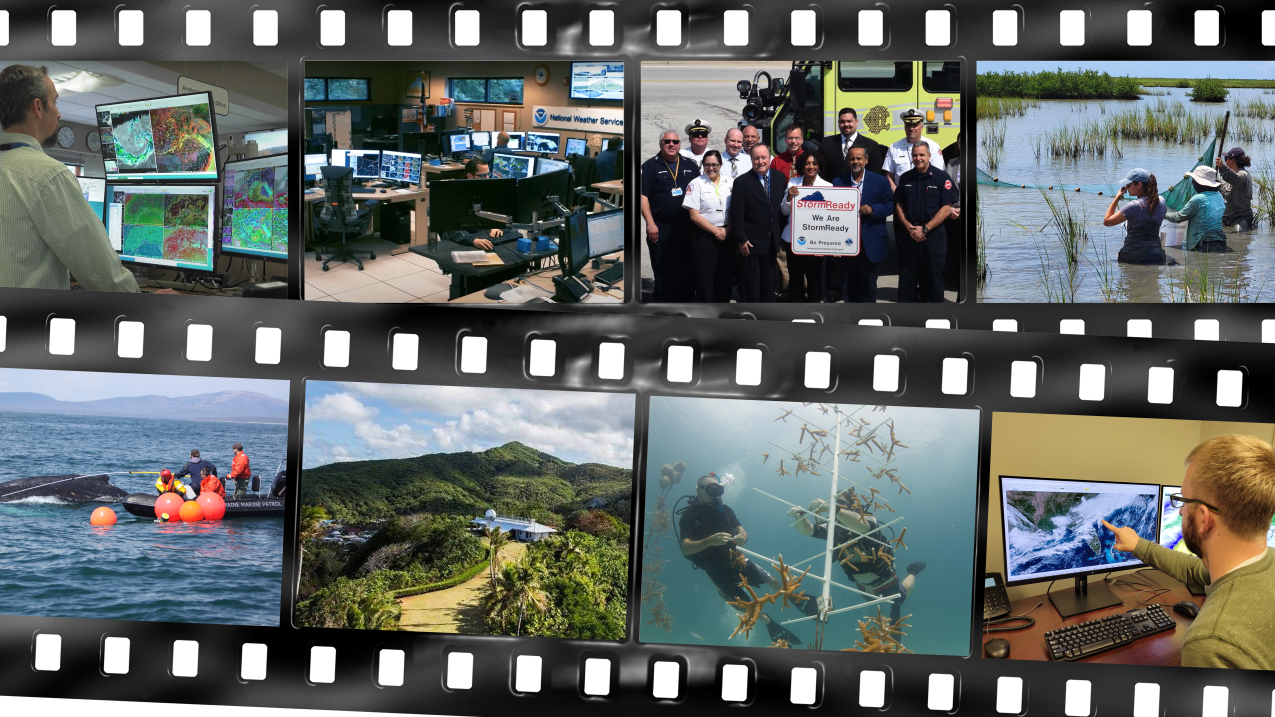 A collage showing still images from each of the short films featured in NOAA's virtual summer film festival.