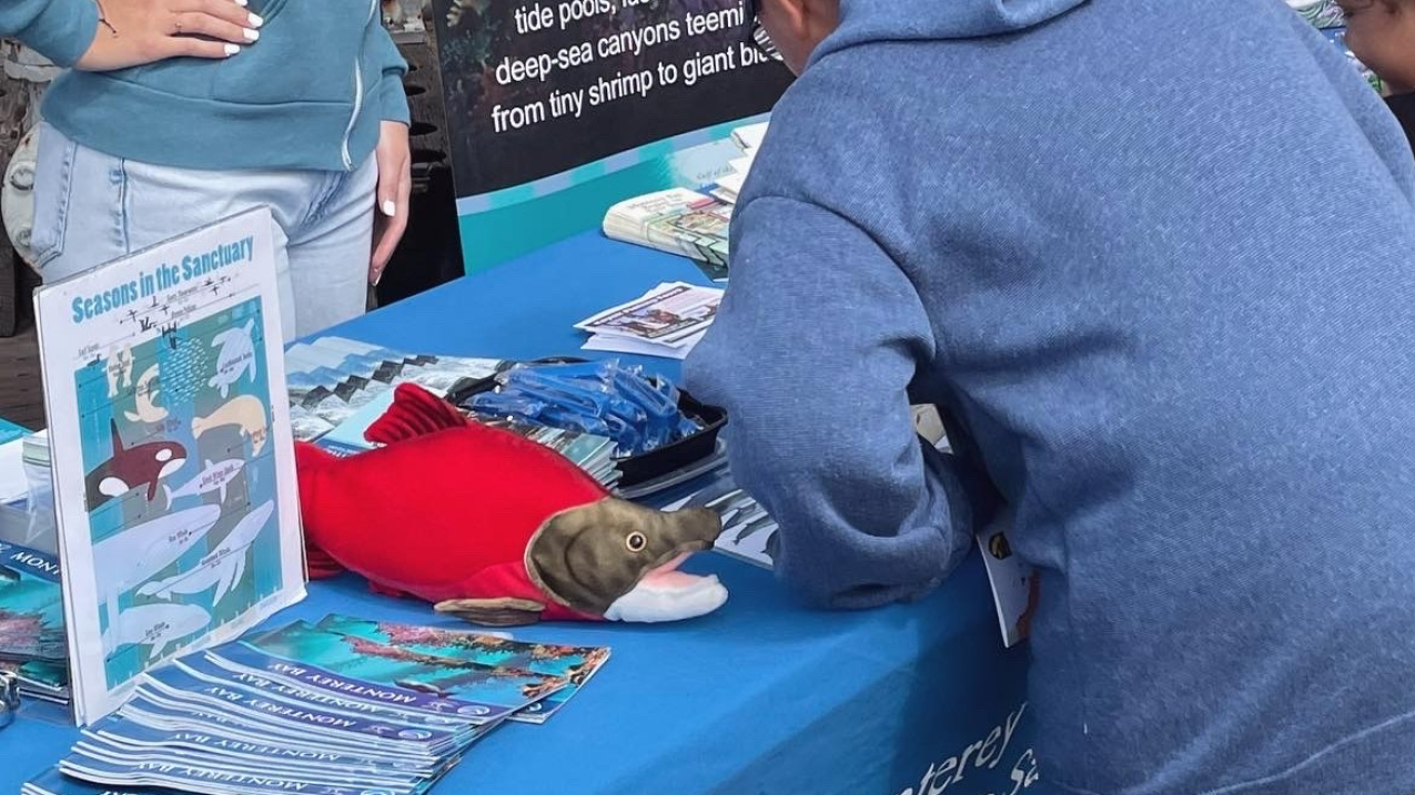 Caroline talks to a few people from behind an exhibit table. The table has materials including pamphlets, a plush salmon, and outreach swag typically found at conference exhibits.