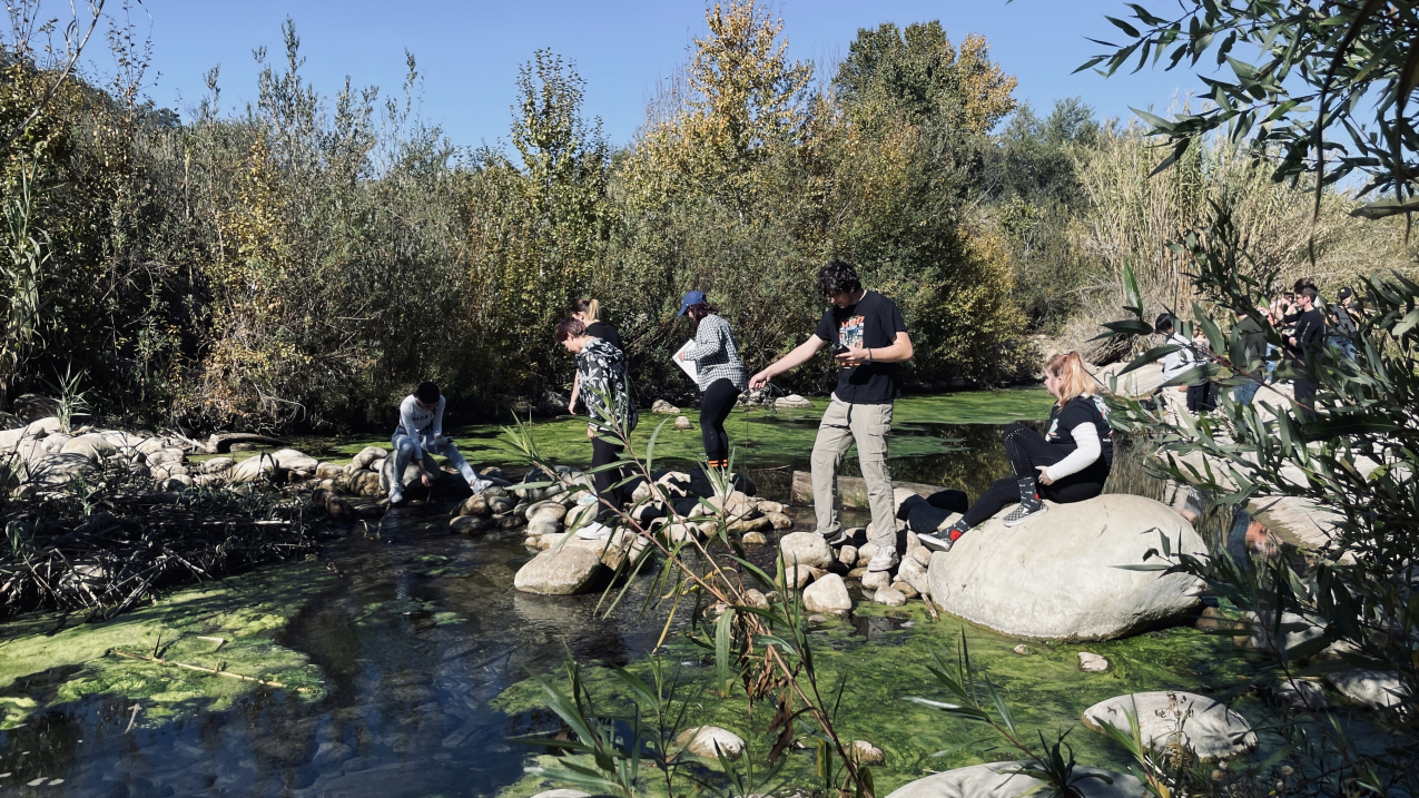 Six teens stand or sit on rocks that cross a stream. Two are holding sampling probes and another holds a clipboard. There is thick, shrubby vegetation on either side of the stream, and there are large mats of algae in the water. 