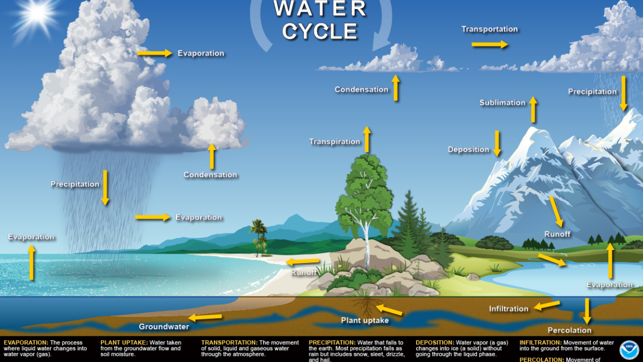 The Water Cycle poster.