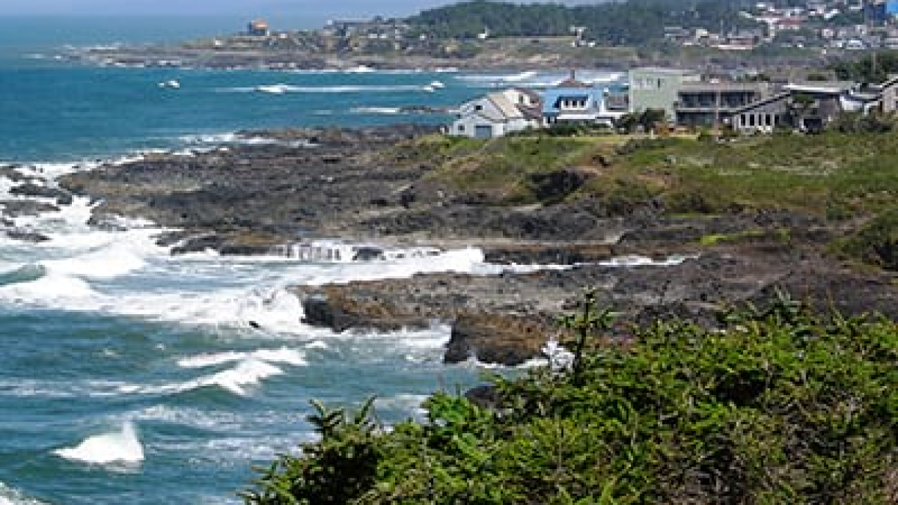 Houses along a Rugged coastline