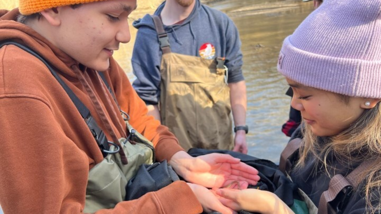 Volunteers Eva Lagdamen and Benjamin Sankar are standing in the waters of an estuary, wearing waders, and show the camera a small eel, approximately the length of a finger, that they found in the river.