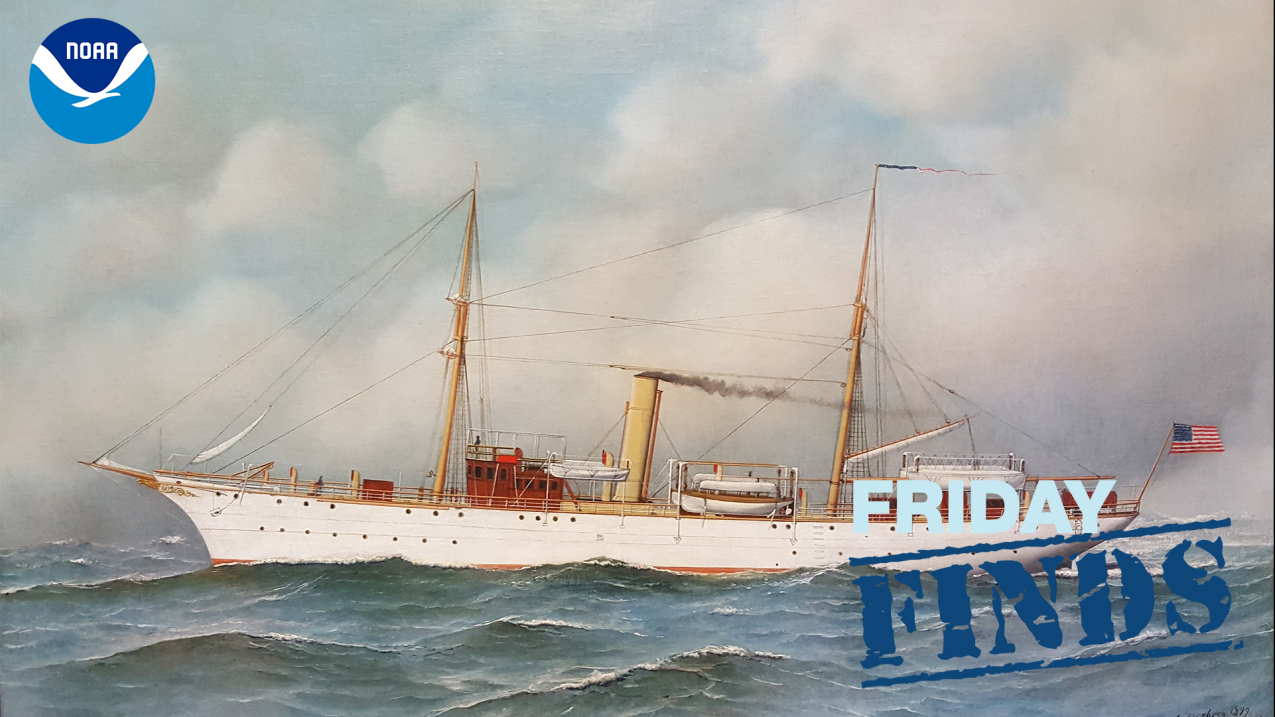 A painting of the U.S. Coast and Geodetic Survey ship Pathfinder on the water.