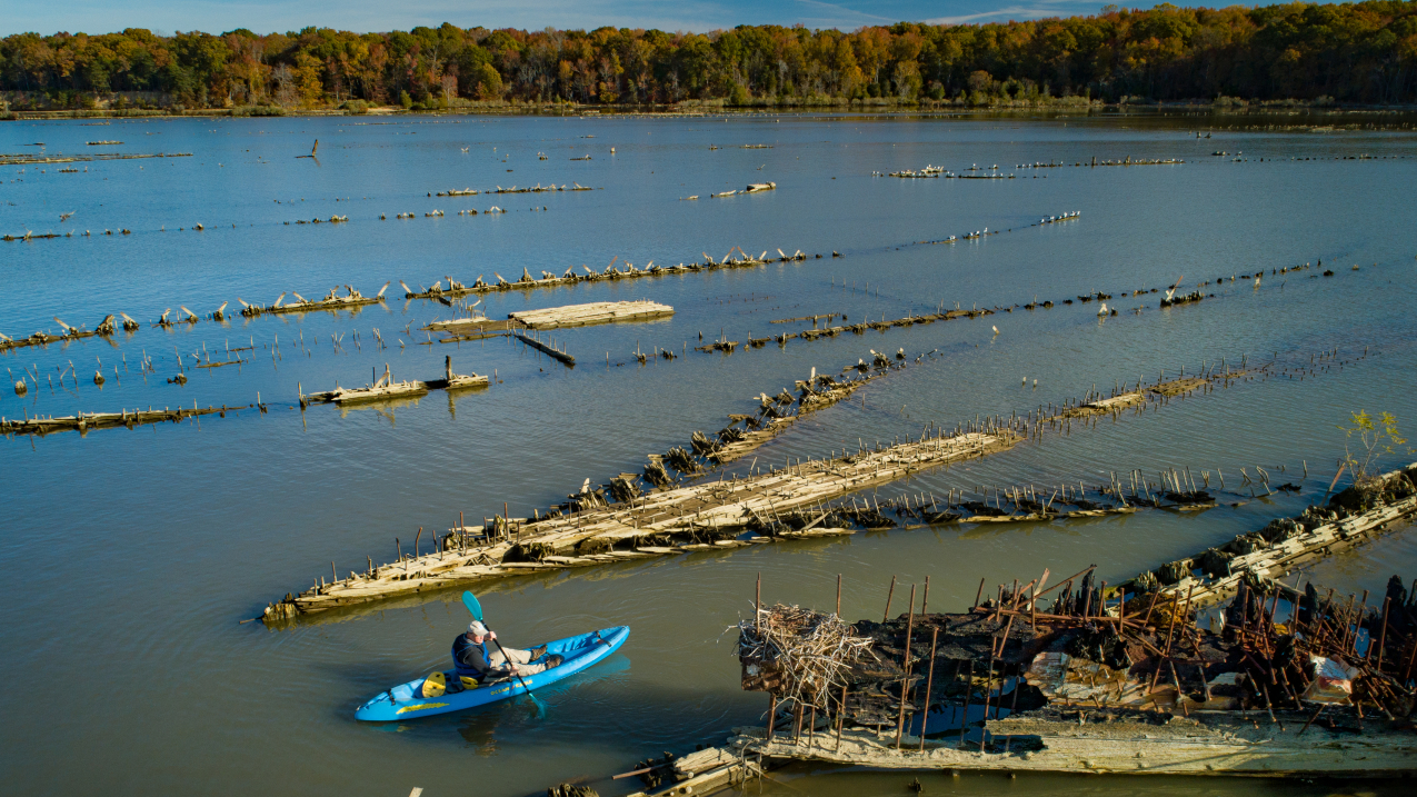 Aerial view of Mallows Bay-Potomac River National Marine Sanctuary, where NOAA is investing $5 million from the Inflation Reduction Act to support pre-construction and design requirements for a sanctuary visitor center in Charles County, Maryland. The new interpretive center would help make the sanctuary more accessible to the public, including diverse and historically underserved communities, by providing a place for people to learn about the sanctuary and related cultural and Native American heritage.