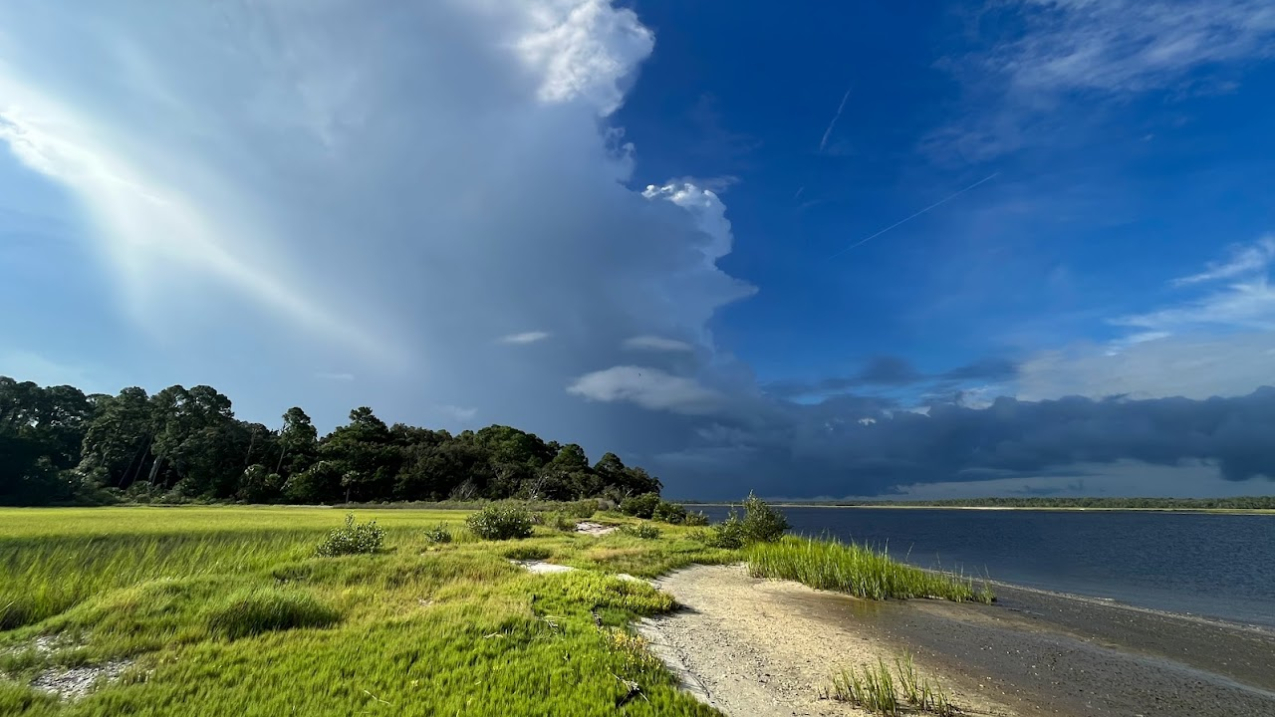 View of the transition between hammock, marsh and the Tolomato River at the Guana Tolomato Matanzas National Estuarine Research Reserve.