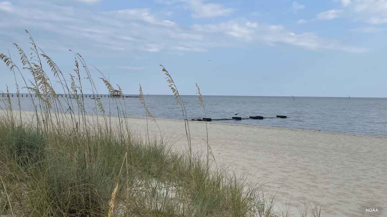 View of the Gulf of Mexico from the Mississippi coast. Credit: Kate Culpepper, NOAA.