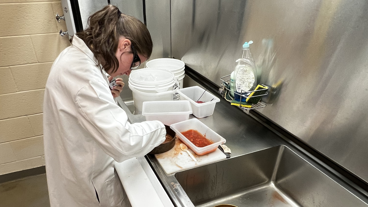 Sarah wears a lab coat and lab goggles, standing at a large lab hood. She is looking through a sample in a metal sieve. The sample she sorts is a red liquid with remnants of digested food parts. Another tray nearby contains pieces of digested food sorted out of the liquid.