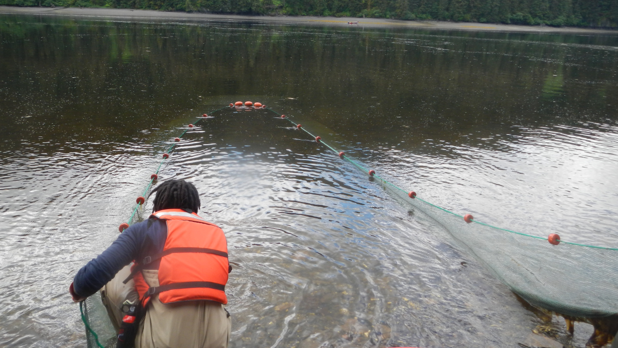 TreVaughn is seen from behind, crouching down by the water and pulling in one side of a seine towards himself. The seine is still mostly submerged, with just the floating rope at the top of the seine visible.