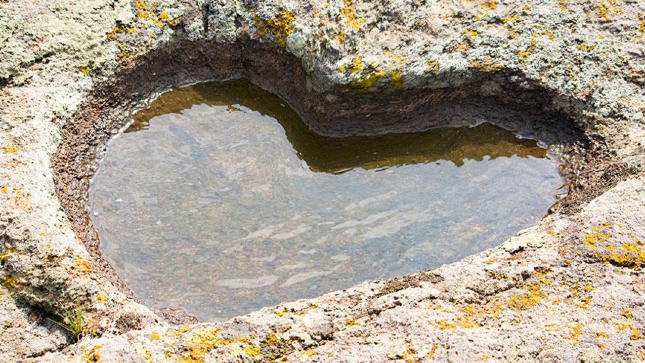 A heart-shaped indent in a large rock.