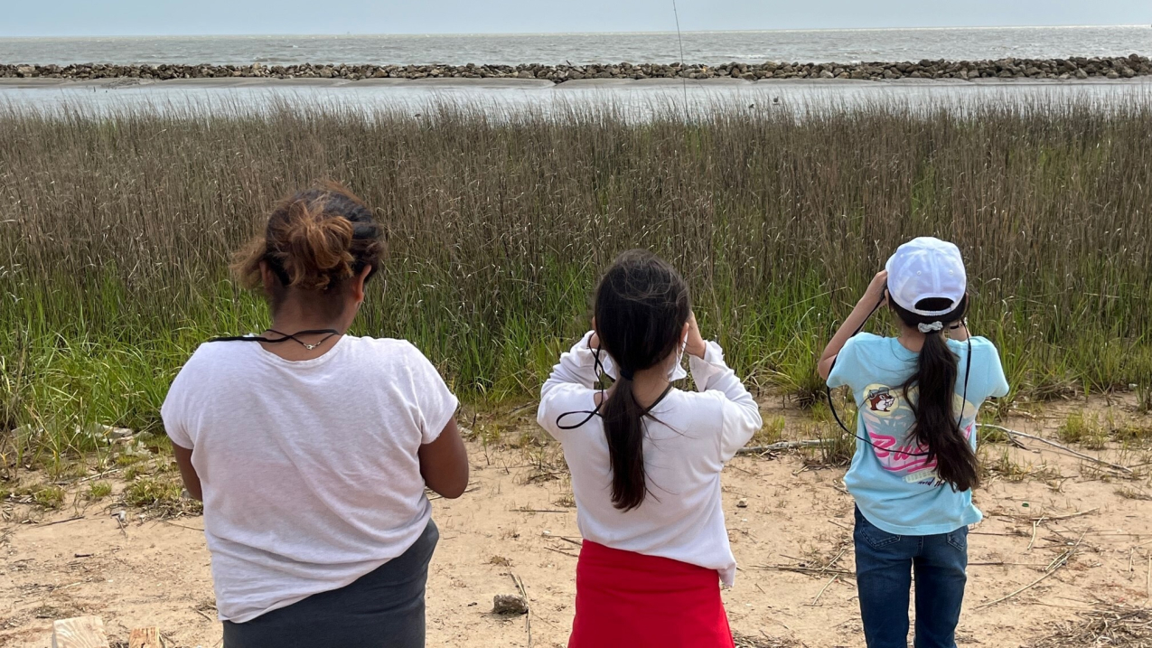 three students are pictured from behind looking out over a marsh with binoculars