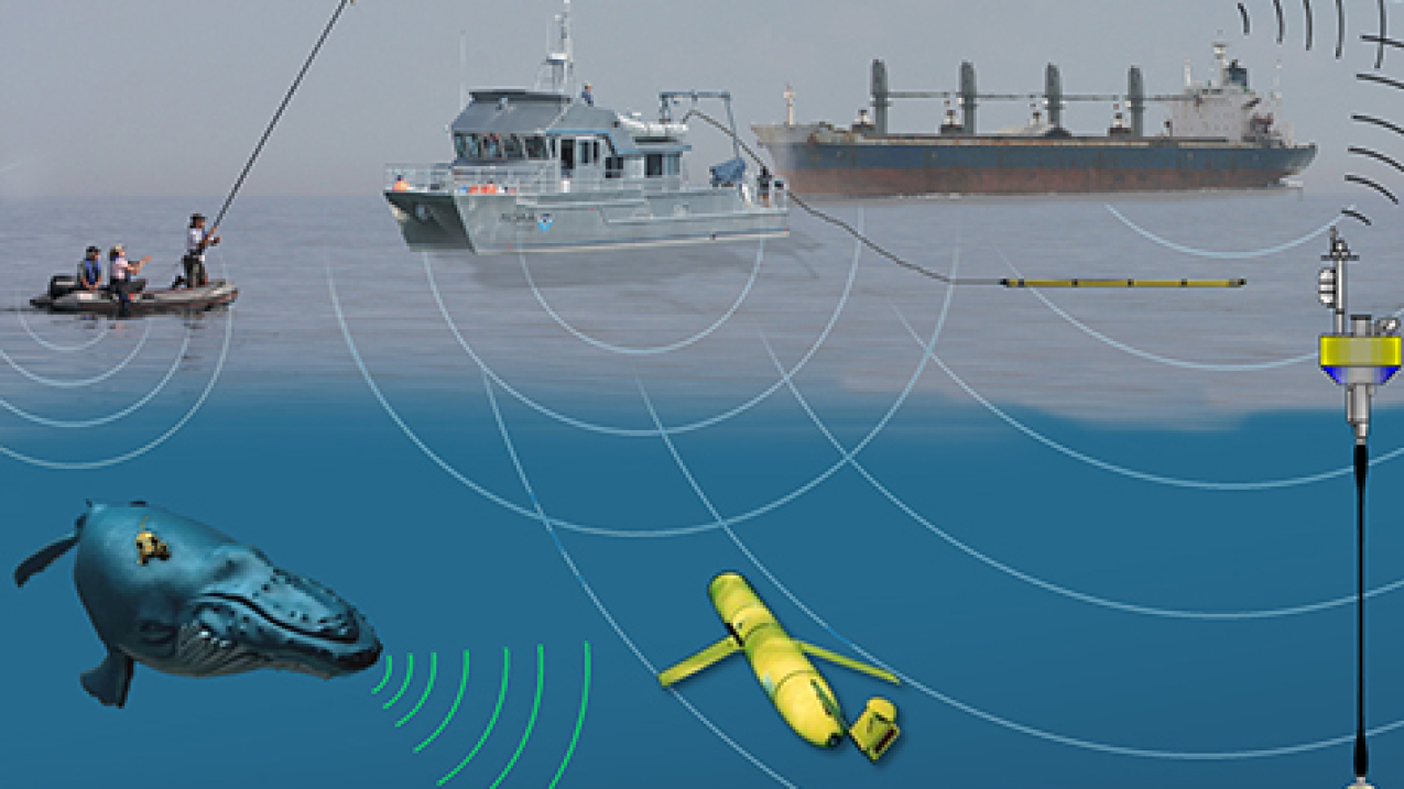 A graphic of various ships on the ocean emitting soundwaves into the water. Underneath, there is a whale, a glider, and other underwater tools also emitting soundwaves.