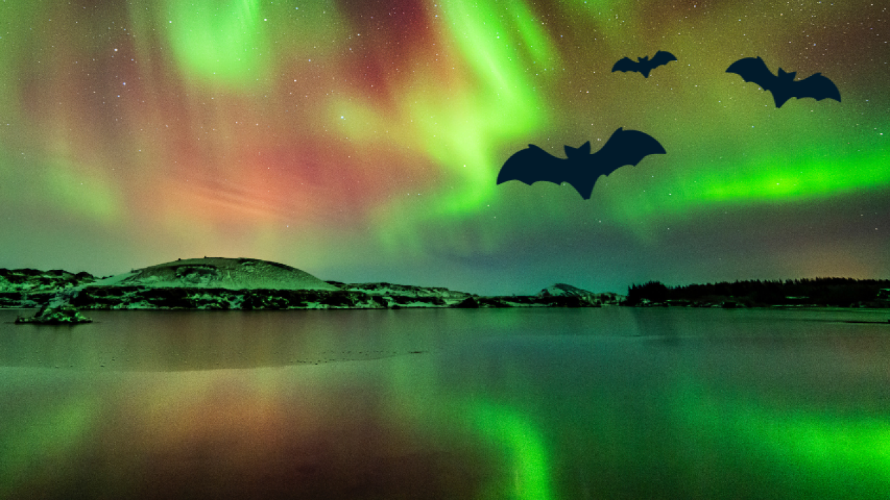 Green and red colors from an aurora over a mountainous landscape and large body of water.