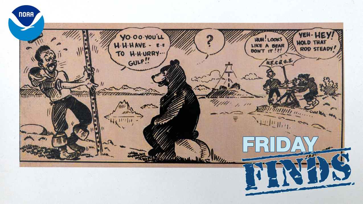 Clarence E. Pete Petersen cartoon of a Coast Survey rodman concerned about a bear. A man holding a rod marked with measurements at far the left faces a bear sitting on a rock, while the surveyors in the distance at far right look on. The rodman says, "Yo-o-o-you'll h-h-have t-t-to h-h-hurry... Gulp!!" One surveyor says, "Huh! Looks like a bear, don't it!?!" and the other says "Yeh-Hey! Hold that rod steady!"
