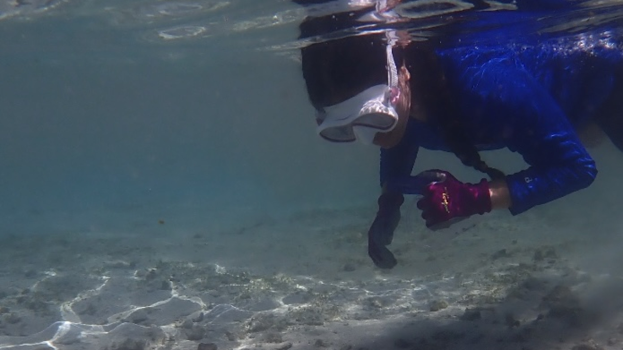An underwater photo of Talofa. She is floating at the surface of water looking through her snorkeling mask at the sea floor, which is close enough for her to reach out and touch. She appears to be taking a photo or measurement of the sea floor.