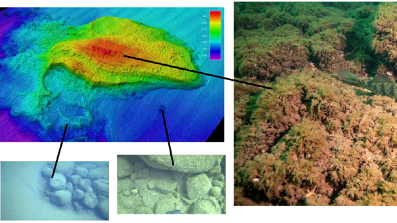 Underwater video and bathymetry