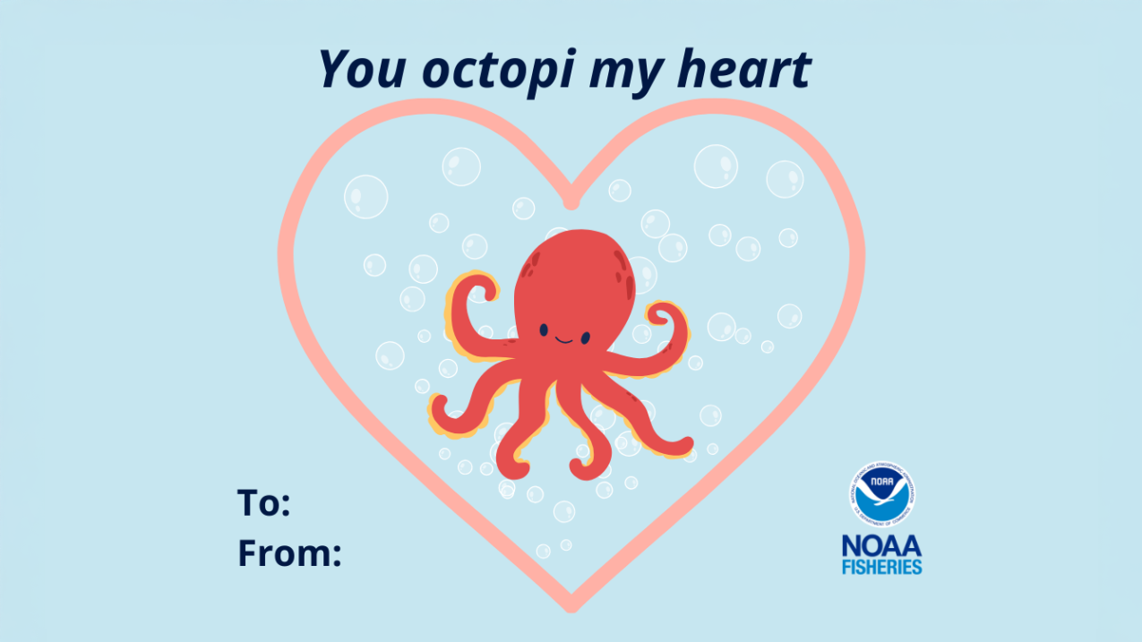 Graphic of a cartoon octopus in a heart filled with bubbles. Text: You octopi my heart!