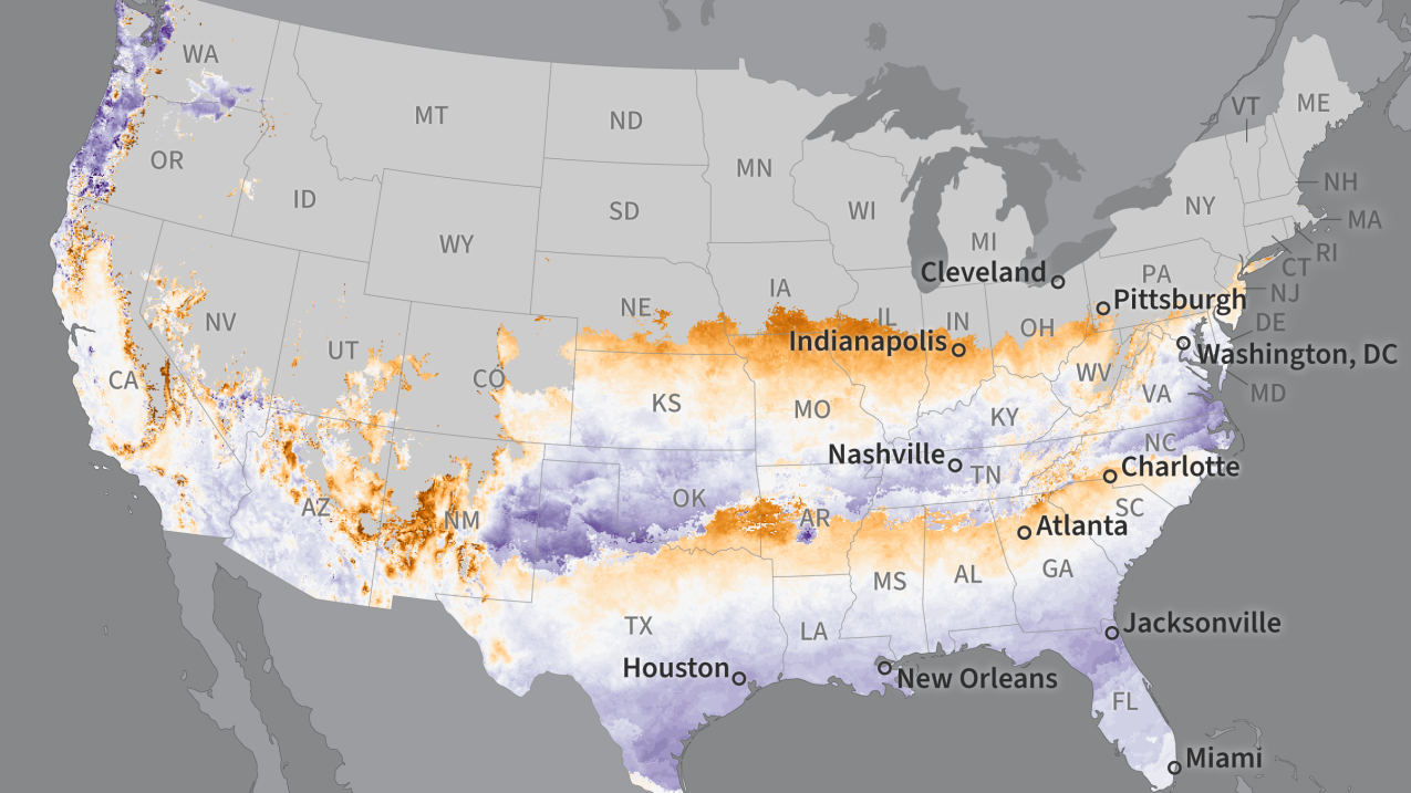 Map of the timing of the arrival of 2025 spring 'leaf out' in the U.S.