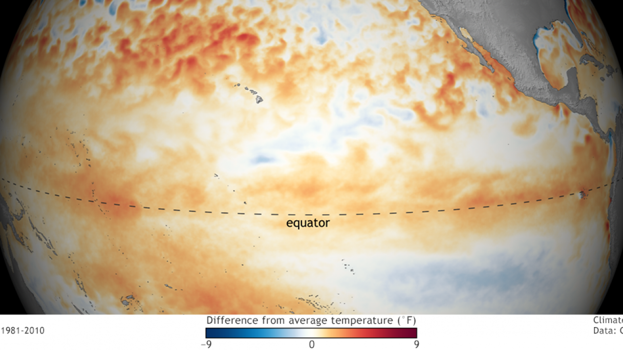 This image shows the difference from average sea surface temperatures at the Equator in the tropical Pacific during January 2019, as compared with the period from 1981-2010. On February 14, 2019, NOAA announced that El Nino has arrived, but it's likely to be weak with little influence on weather through early Spring 2019.
