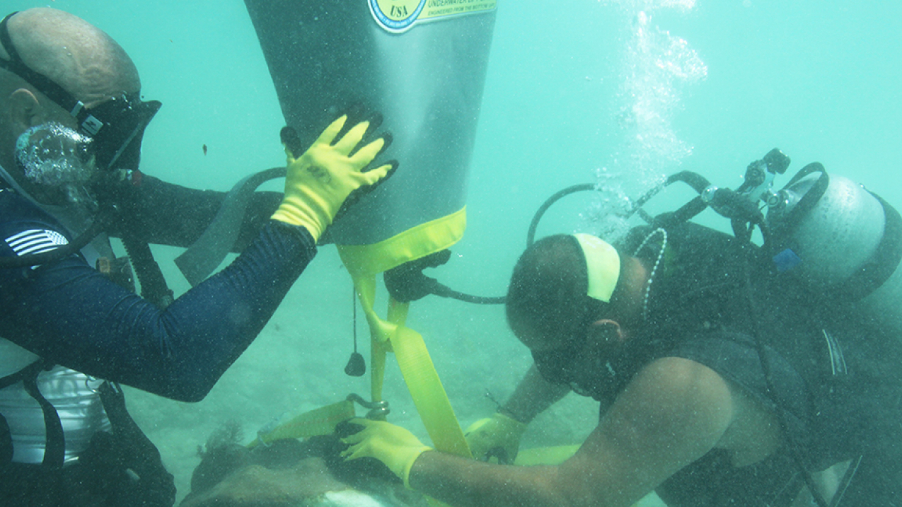 Force Blue divers underwater lifting coral heads.