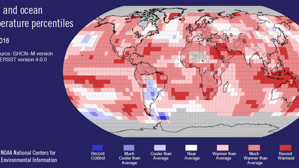 June 2016 land and ocean temperature percentiles