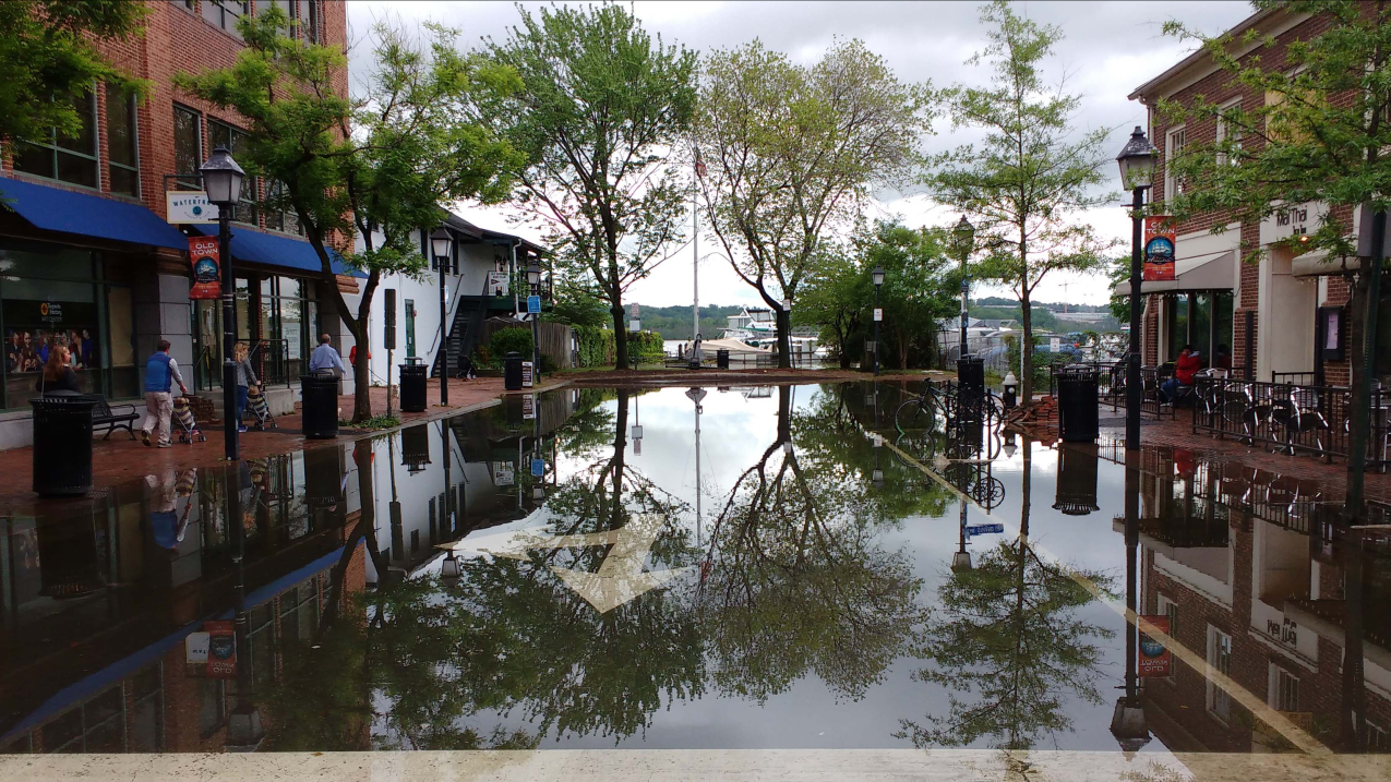 Pedestrians stroll past standing water in Old Town Alexandria, Virginia, in May 2016 after high tides in the Potomac River inundated the street. 