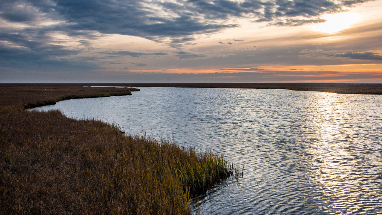 Sunset along the coastal plain in the Arctic National Wildlife Refuge.