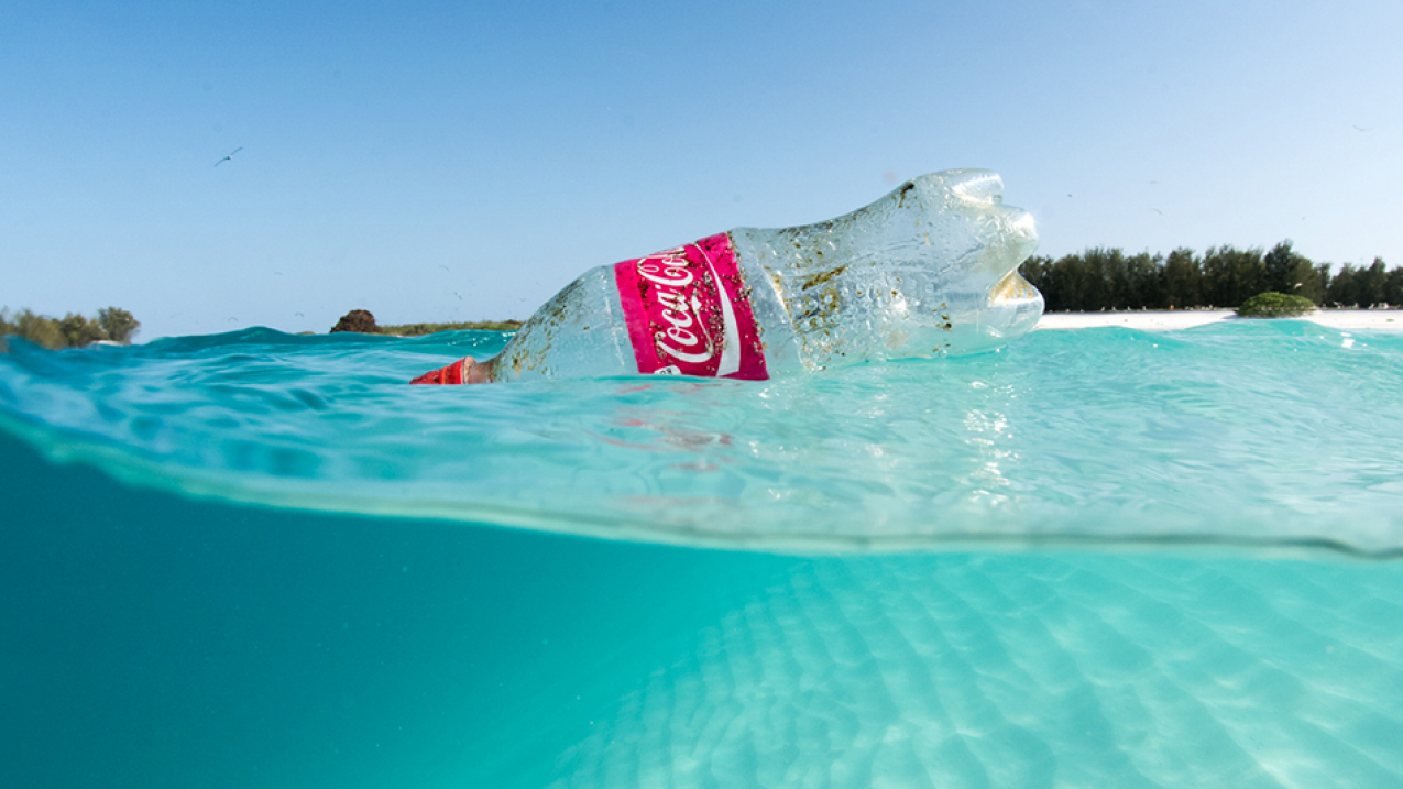 This not where you'd like to have the empty bottle of your favorite drink end up. Please always be sure to properly recycle your plastics and other trash. --> Want to make more of a difference? Join a local International Coastal Cleanup in September to help rid the seas of marine debris.