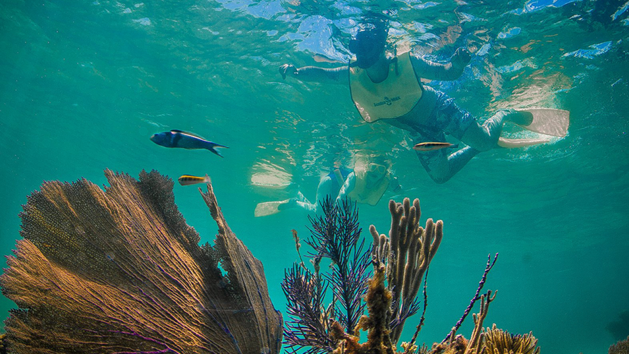 Florida Keys National Marine Sanctuary.