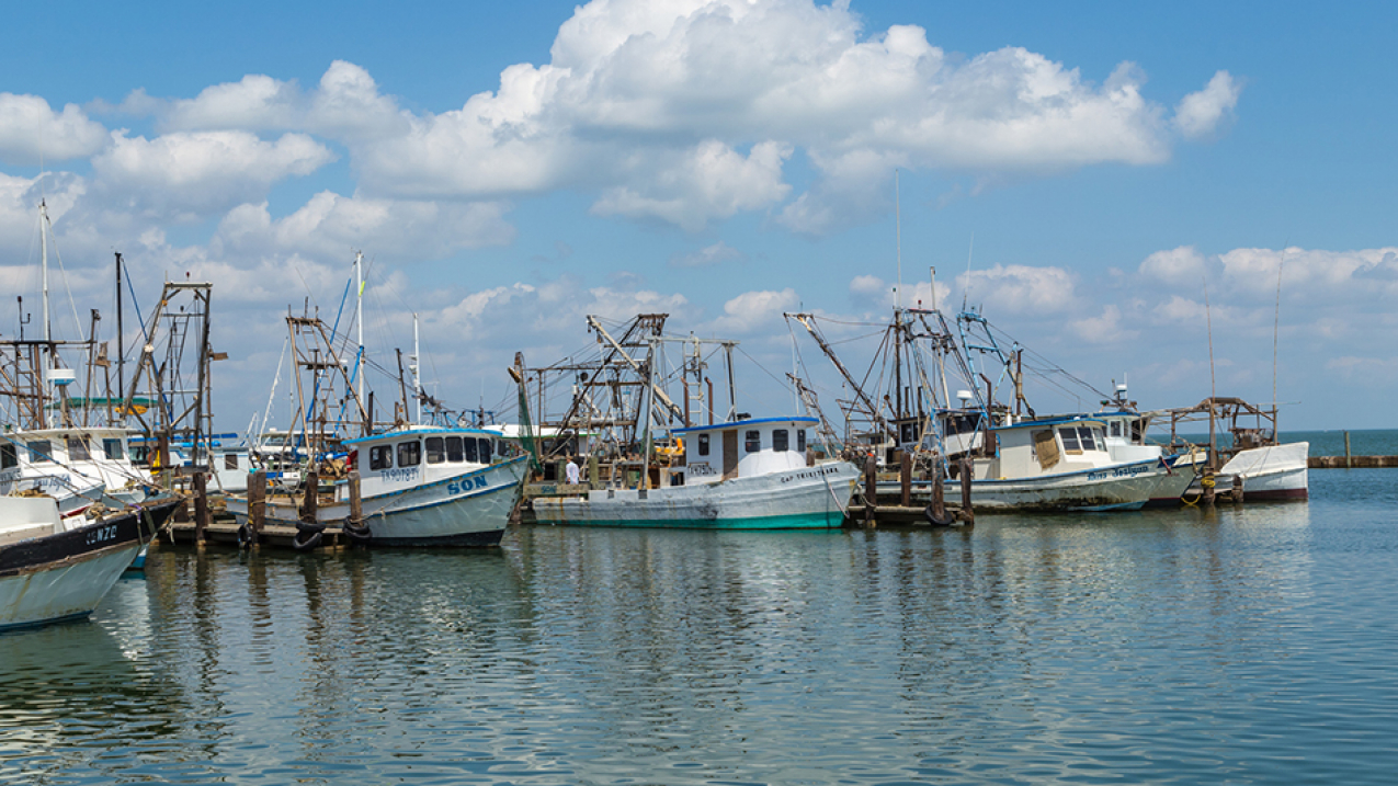 Fishing boats in Fulton Harbor, Texas.
