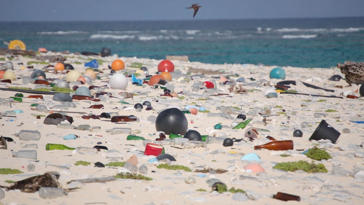 Marine debris washed up on a beach.