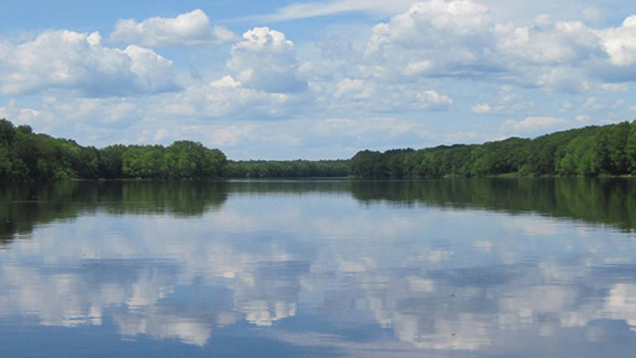 Parts of the Penebscot River in Maine are designated as critical habitat for the Gulf of Maine distinct population segment of Atlantic sturgeon.