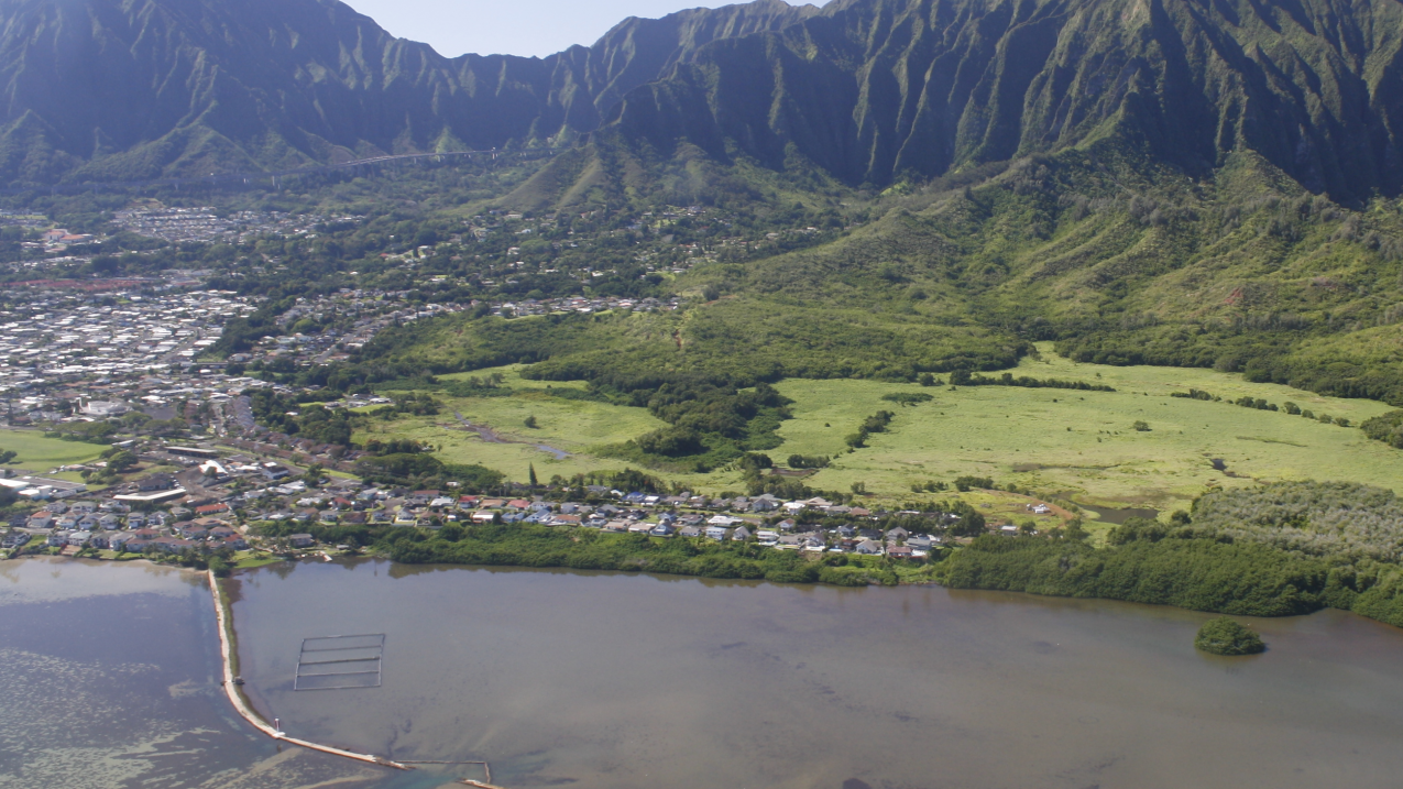 The He‘eia National Estuarine Research Reserve was the 29th in the NERR system. The He'eia wetlands will see a new natural constructed wetlands system to protect and enhance the ecosystem and community of Kane'ohe Bay, Hawaii. The project will minimize flood events, reduce sediment and nutrient run-off, and create habitat and fish passage for marine and estuarine species.