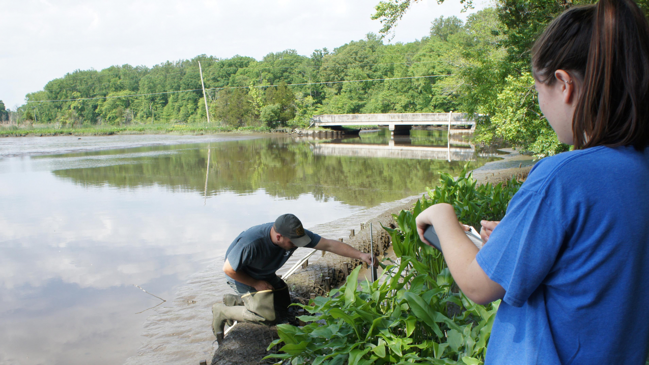 Nature-based solutions are emerging as a preferred way for communities to protect shorelines, infrastructure, and people from coastal flooding.