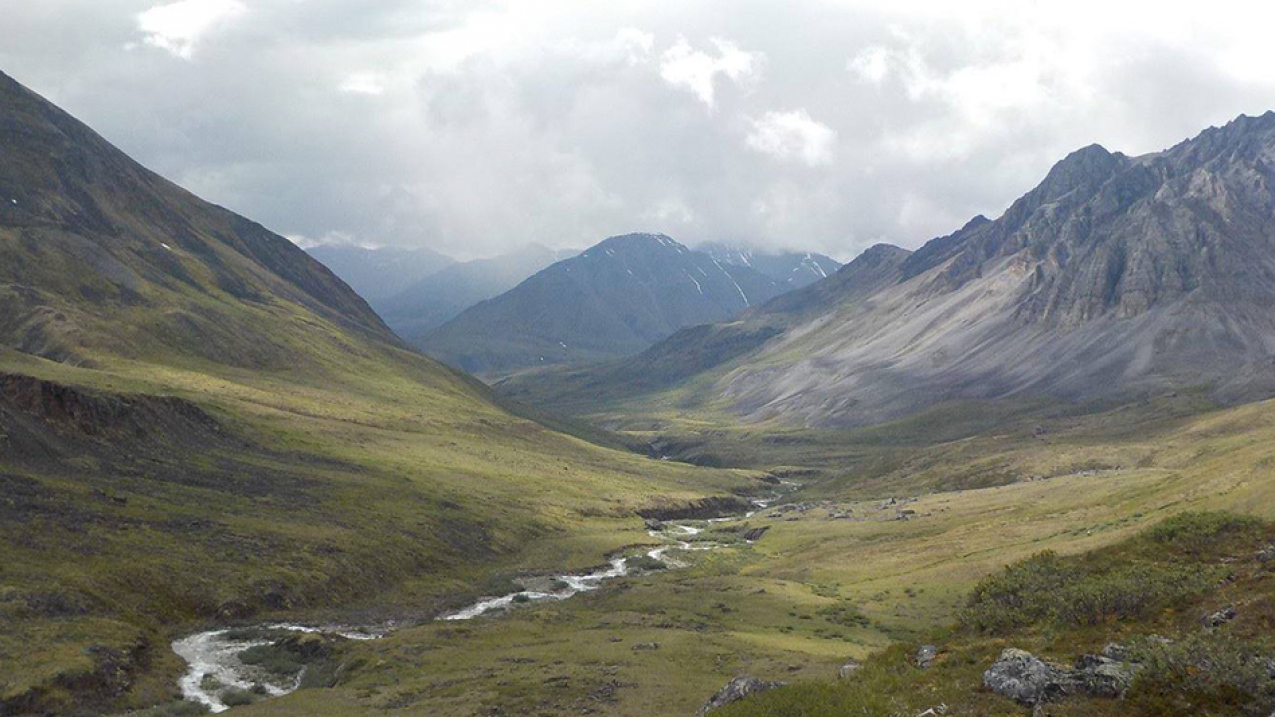 Gates of the Arctic.