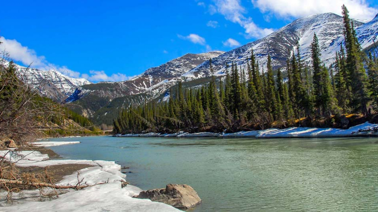 Springtime in Kenai, Alaska.