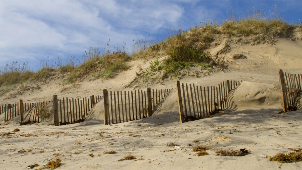Each project selected in the National Ocean Service's Coastal Resilience Grants Program reflects NOAA's commitment to building coastal resilience using science-based solutions and collaborative partnerships.