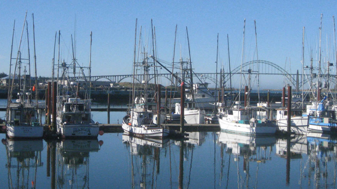 Fishing boats docked in Newport, Oregon.