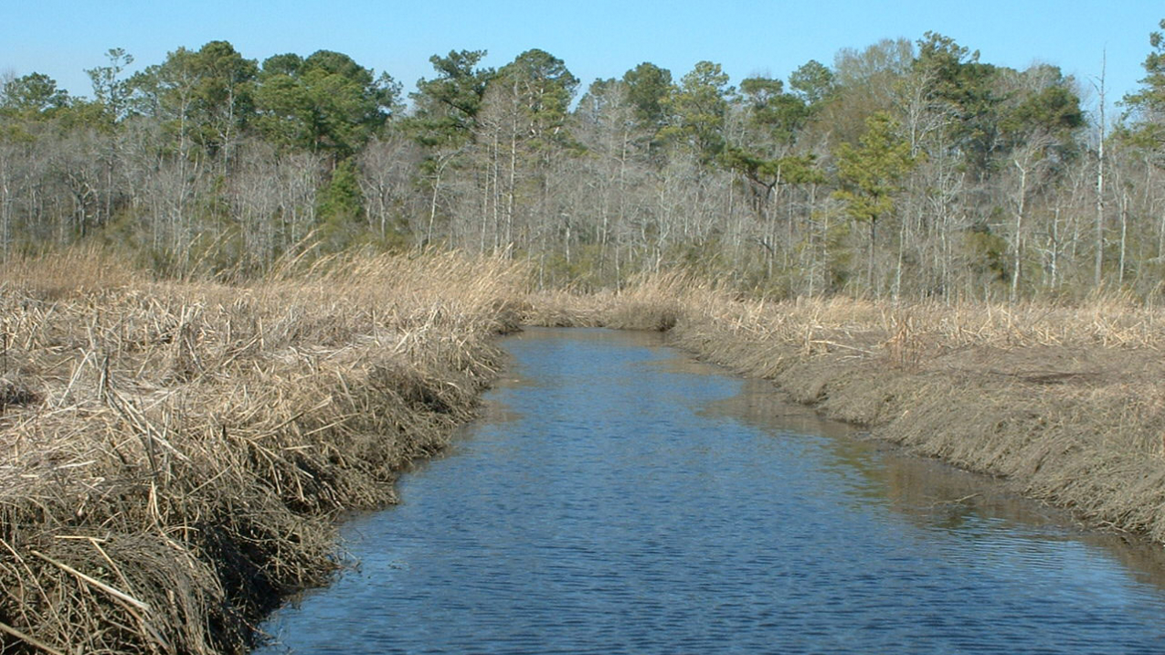 Photo of the affected site in Navassa, NC. Credit: Sara Ward, USFWS. Source = http://www.fws.gov/news/ShowNews.cfm?ID=FEE980F4-5056-AF00-5BE6708DEF414DED