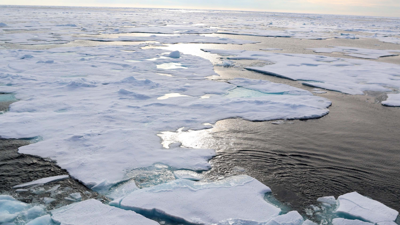 Warming at more than twice the rate of anywhere else on Earth, the Arctic is on the front lines of climate change.