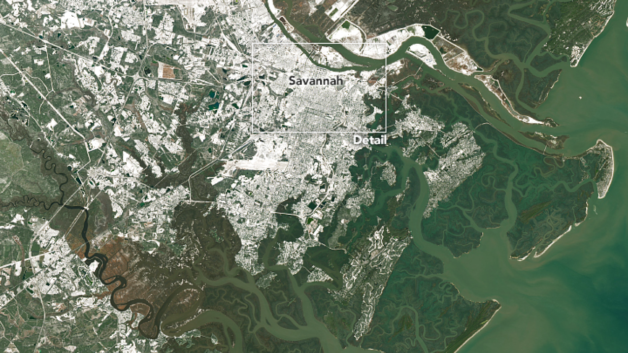 In a rare event, a powerful winter storm dropped snow in parts of the Southeastern U.S. in January 2018. The Operational Land Imager (OLI) on Landsat 8 captured an image of snow covering Savannah, Georgia, on January 4, 2018. The Savannah airport received 1.2 inches of snow on January 4, the most since 1989. To see a zoomed-in image of the Forsyth Park area (boxed area of detail), see NASA's story page at https://go.nasa.gov/2EoyR5W.