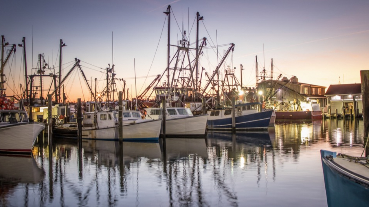 Dawn over the fishing fleet in Barnegat Light, New Jersey