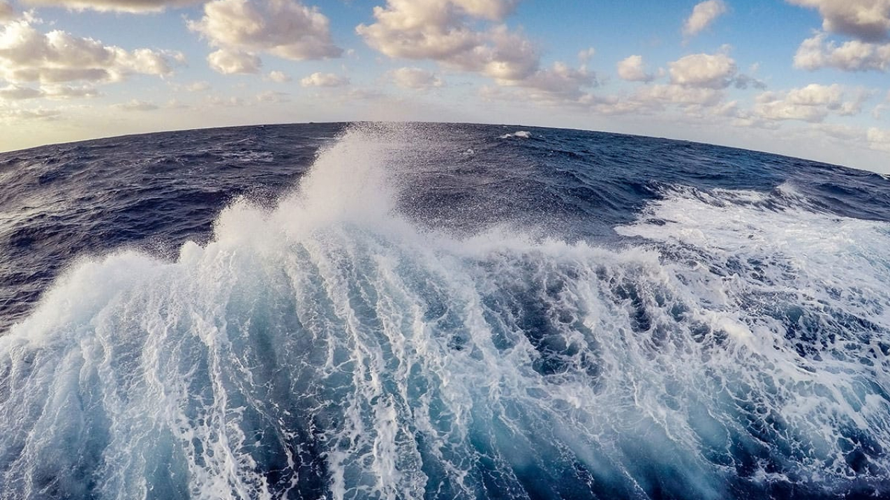 A fish-eye view of the wake of a ship out at sea. Here's an ocean fact: The surface layer of the ocean is teeming with photosynthetic plankton. Though they're invisible to the naked eye, they produce more oxygen than the largest redwood trees.