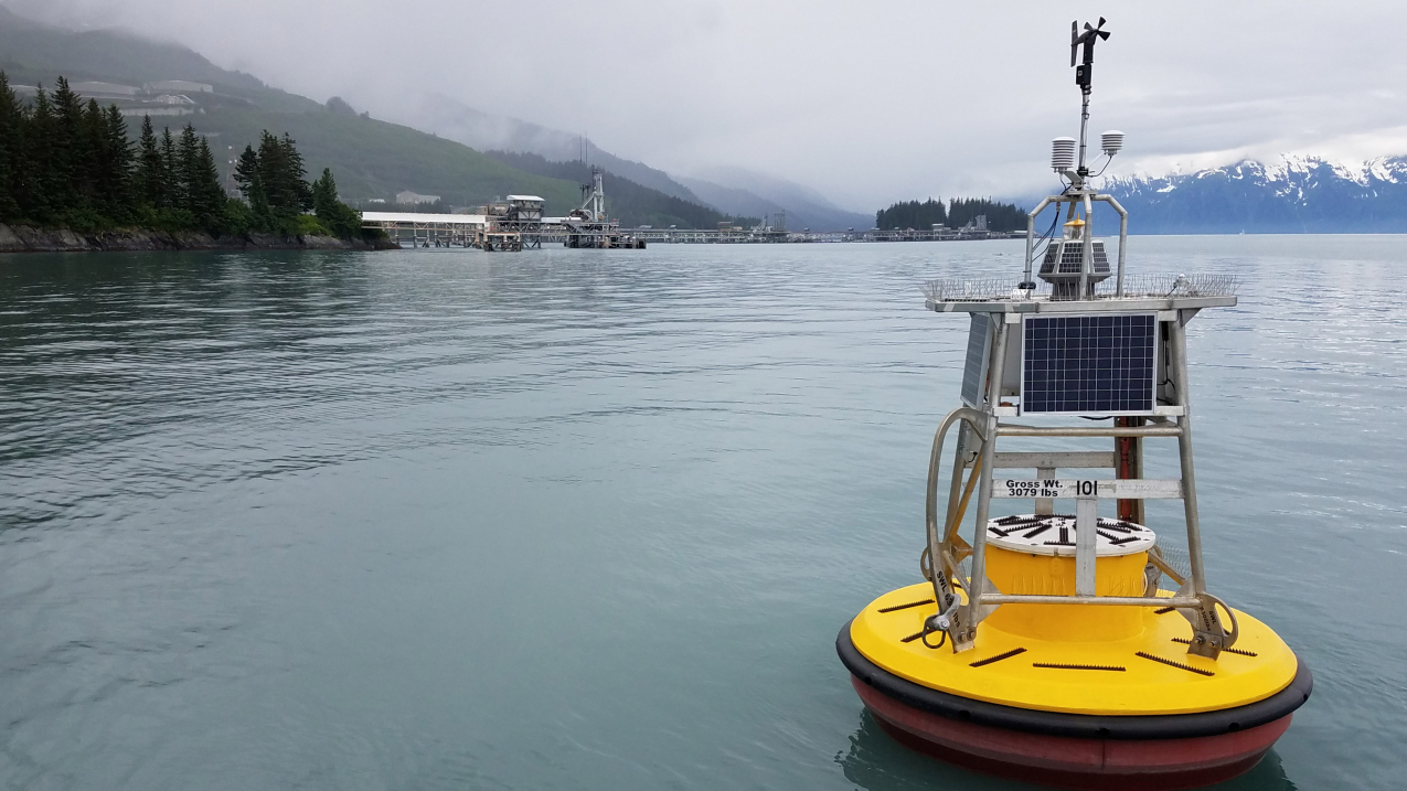 Buoy off Jackson Point in Port Valdez, Alaska, with the Alyeska Pipeline Service Company Valdez Marine Terminal in the background. 