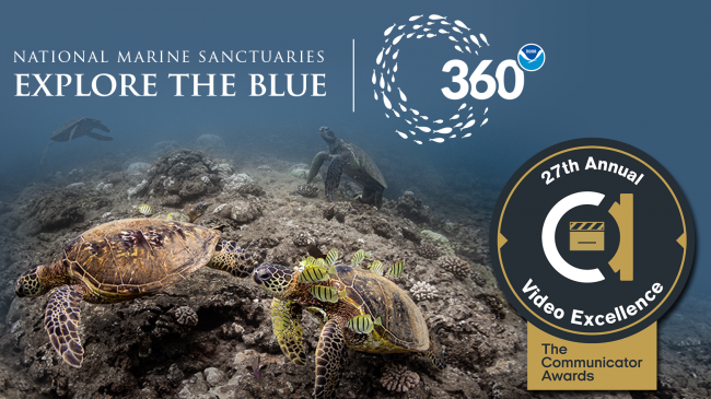 Graphic showing a reef and Webby Award