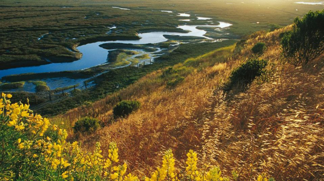 Elkhorn Slough National Estuarine Research Reserve System located in the center of the picturesque Monterey Bay, California.