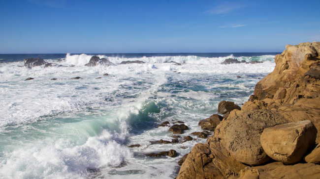 Salt Point State Park in Sonoma County, California, United States.