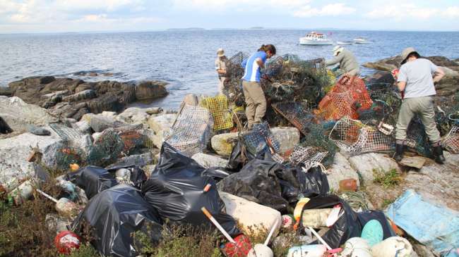 Plastic bags, fishing traps, buoys, and other debris on a New England shoreline. 