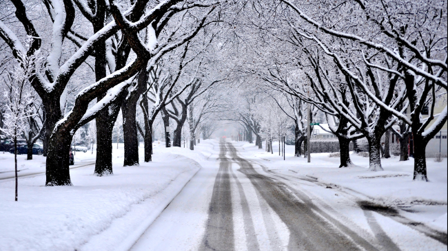 Snow-covered street in Chicago.