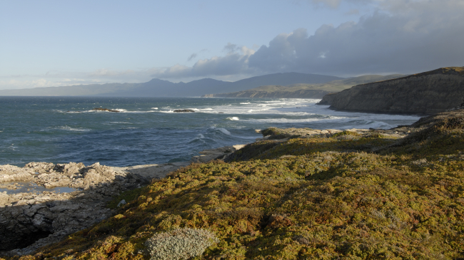 Point Conception, traditionally known by the Chumash people of the region as the “Western Gate,” juts out where the Pacific meets the Santa Barbara channel. The area’s complex undersea geology, combined with cold nutrient-rich waters that upwell from the deep, make it a global biological hotspot that sustains diverse marine life and habitats. 